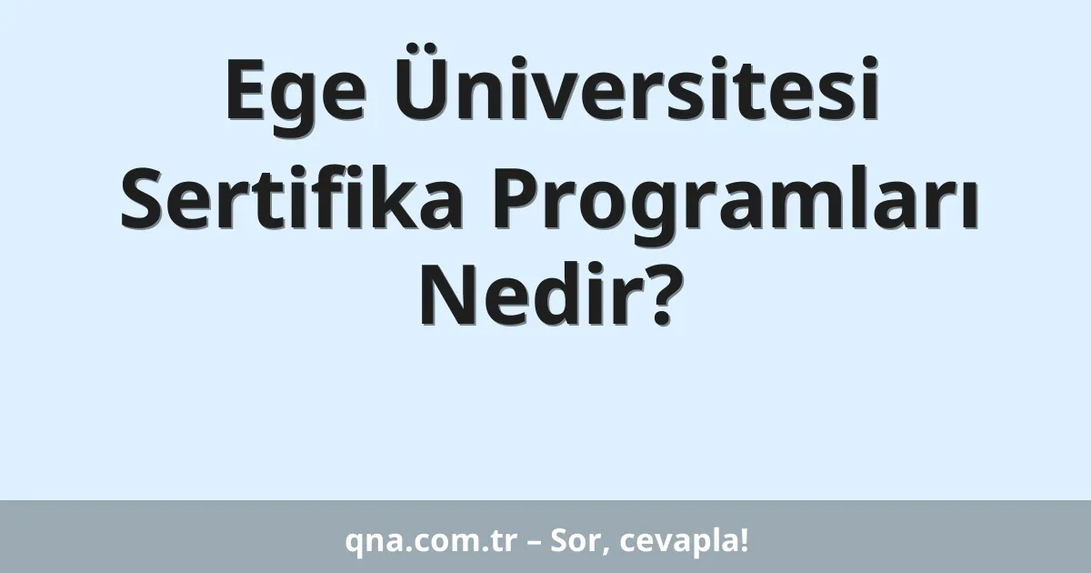 Ege Üniversitesi Sertifika Programları Nedir?