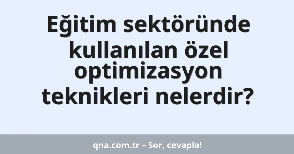 Eğitim sektöründe kullanılan özel optimizasyon teknikleri nelerdir?