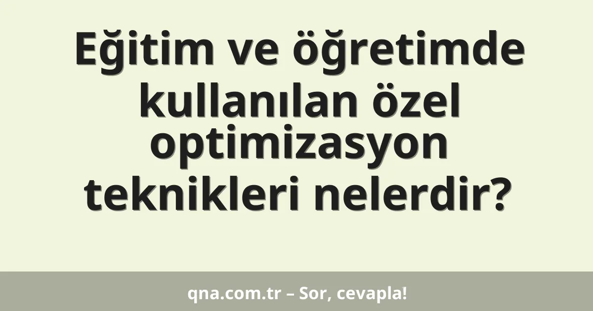Eğitim ve öğretimde kullanılan özel optimizasyon teknikleri nelerdir?