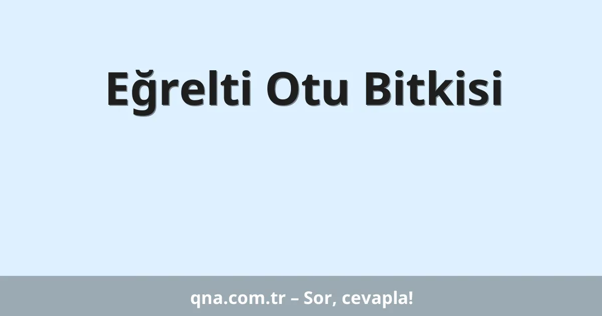 Eğrelti Otu Bitkisi