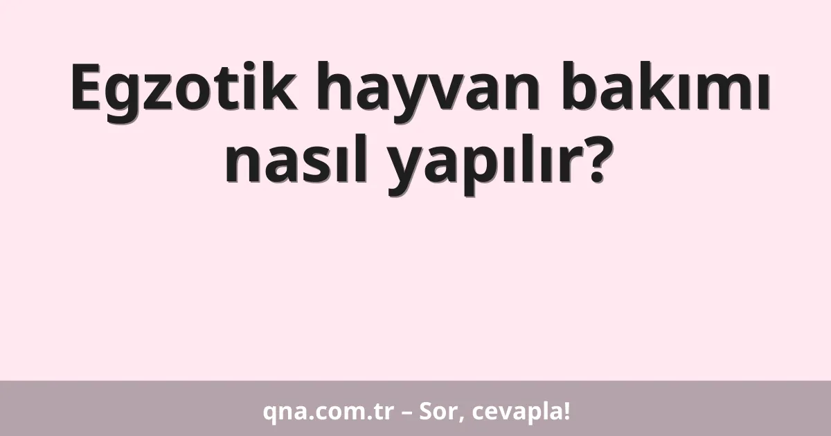 Egzotik hayvan bakımı nasıl yapılır?