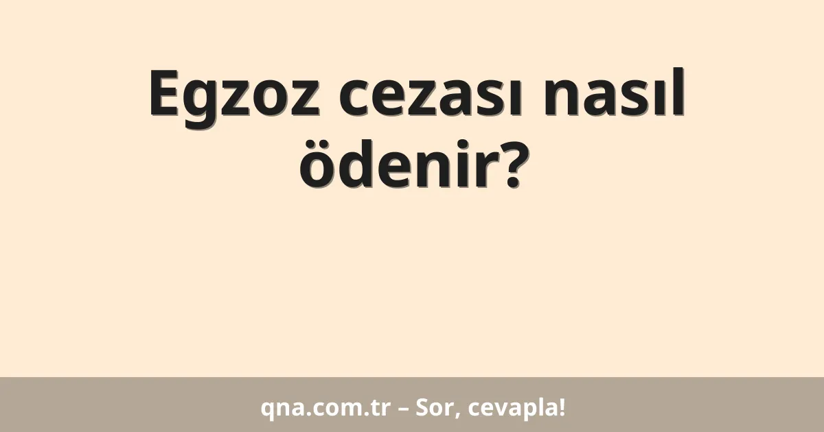 Egzoz cezası nasıl ödenir?