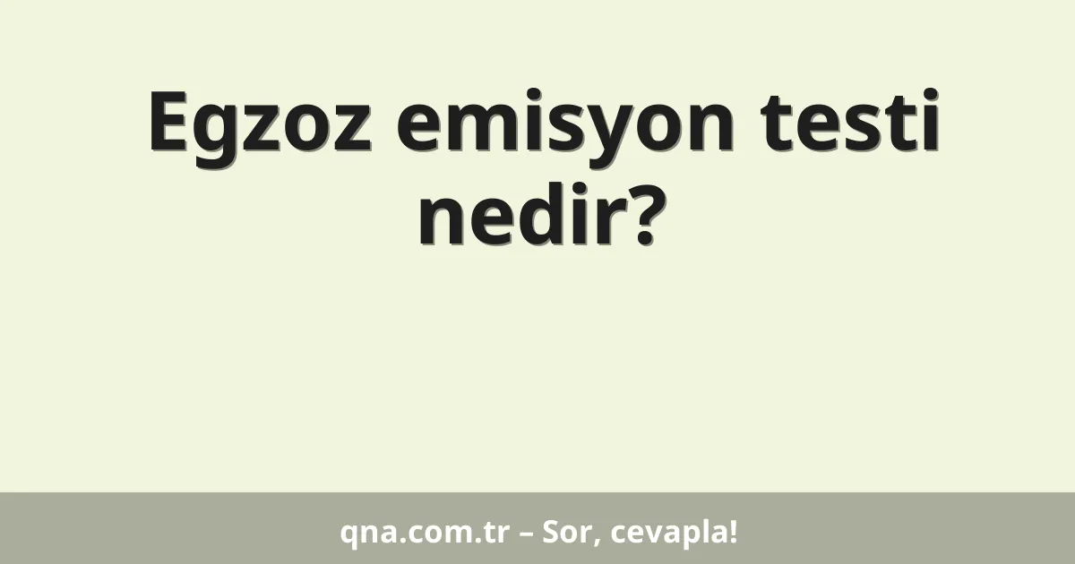 Egzoz emisyon testi nedir?