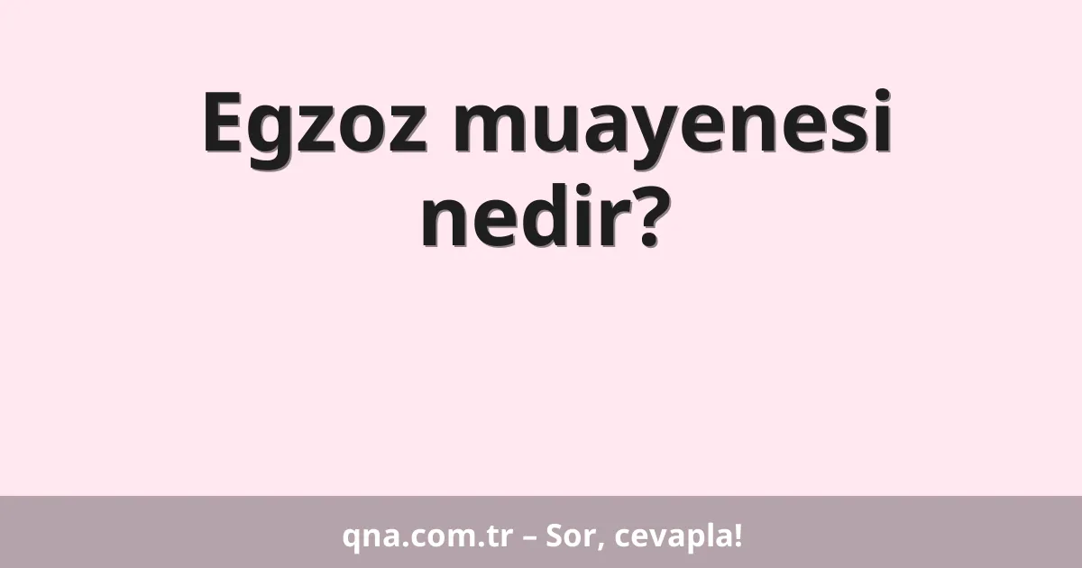 Egzoz muayenesi nedir?