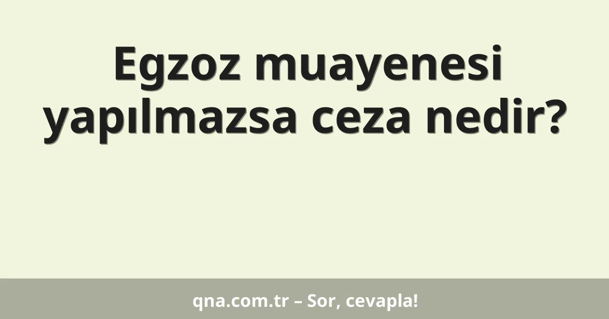 Egzoz muayenesi yapılmazsa ceza nedir?