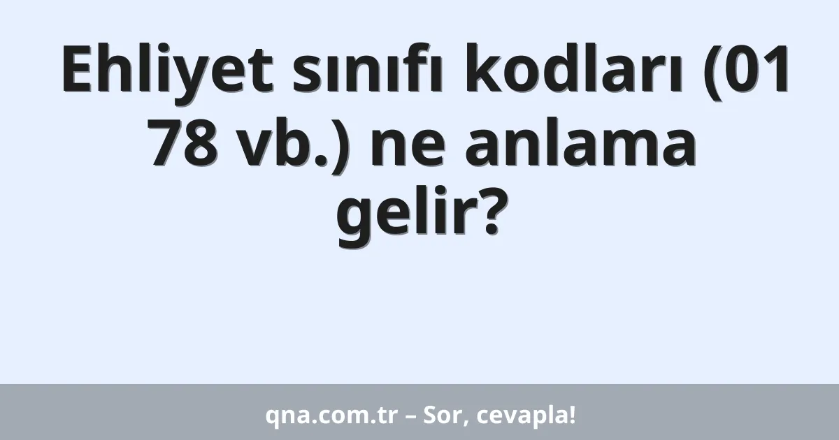 Ehliyet sınıfı kodları (01 78 vb.) ne anlama gelir?