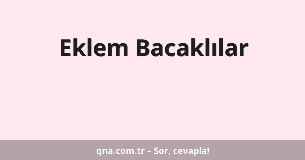 Eklem Bacaklılar