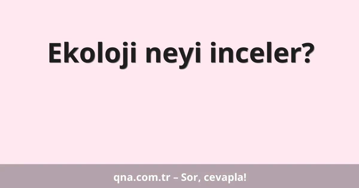 Ekoloji neyi inceler?