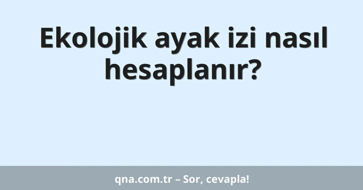 Ekolojik ayak izi nasıl hesaplanır?