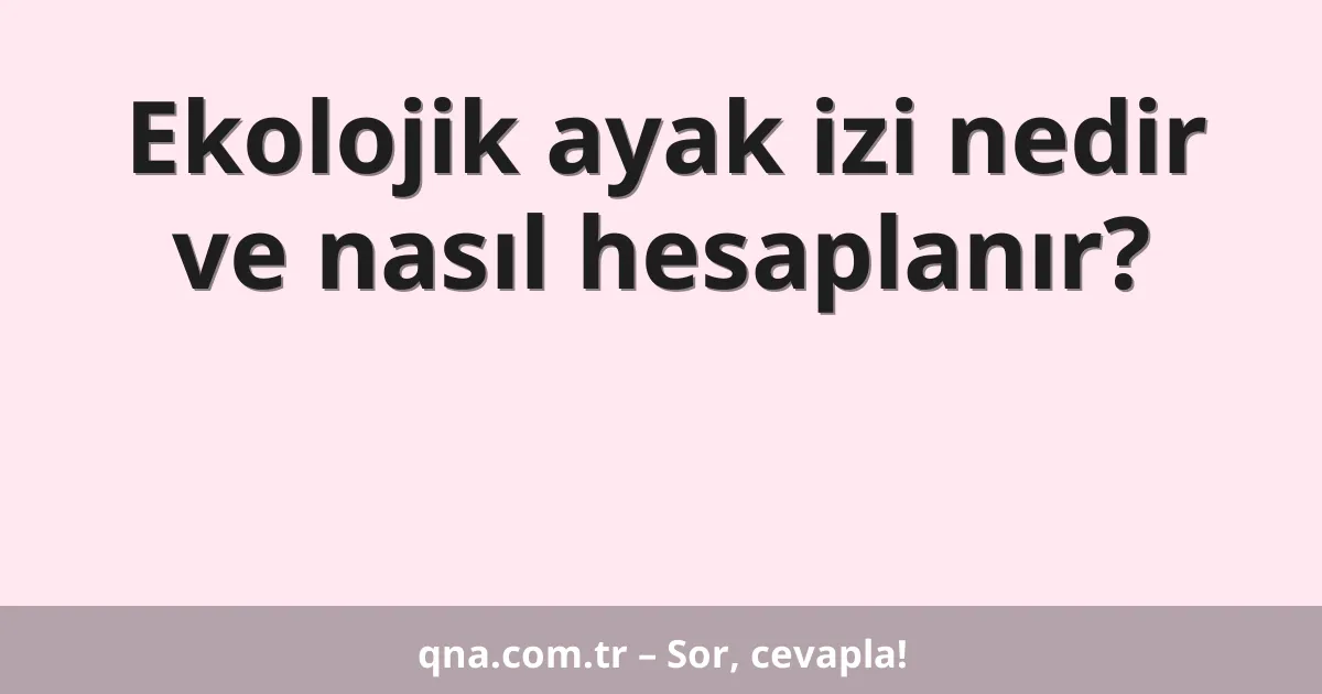 Ekolojik ayak izi nedir ve nasıl hesaplanır?