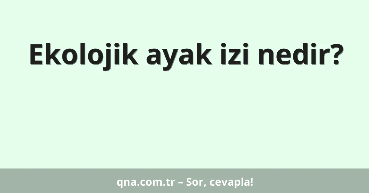 Ekolojik ayak izi nedir?