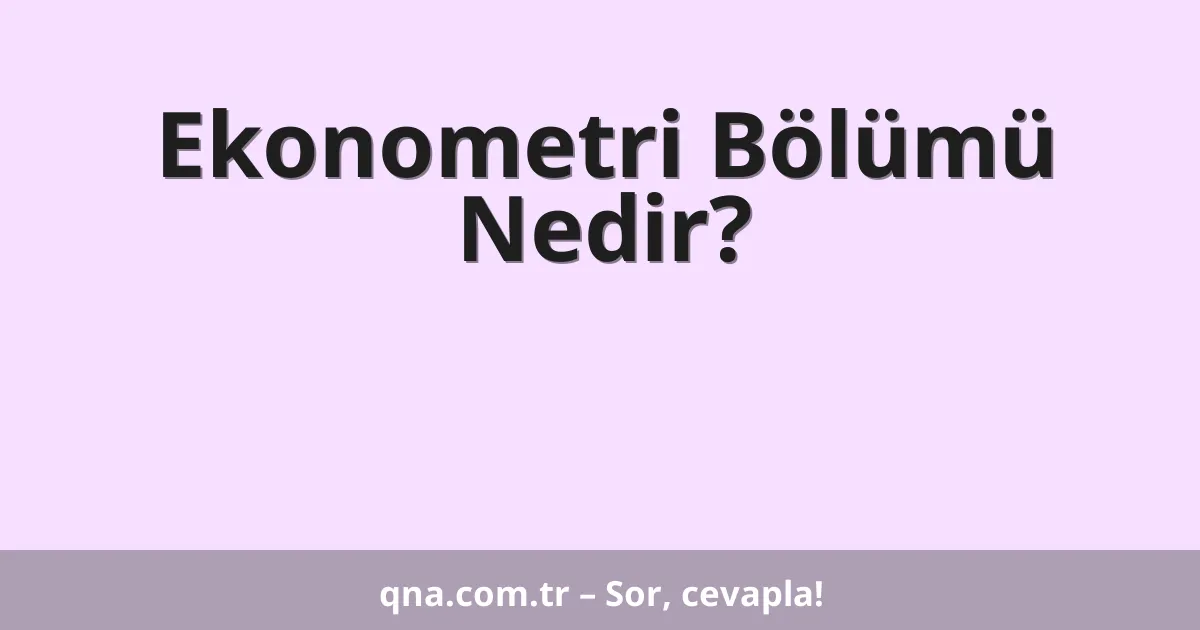 Ekonometri Bölümü Nedir?