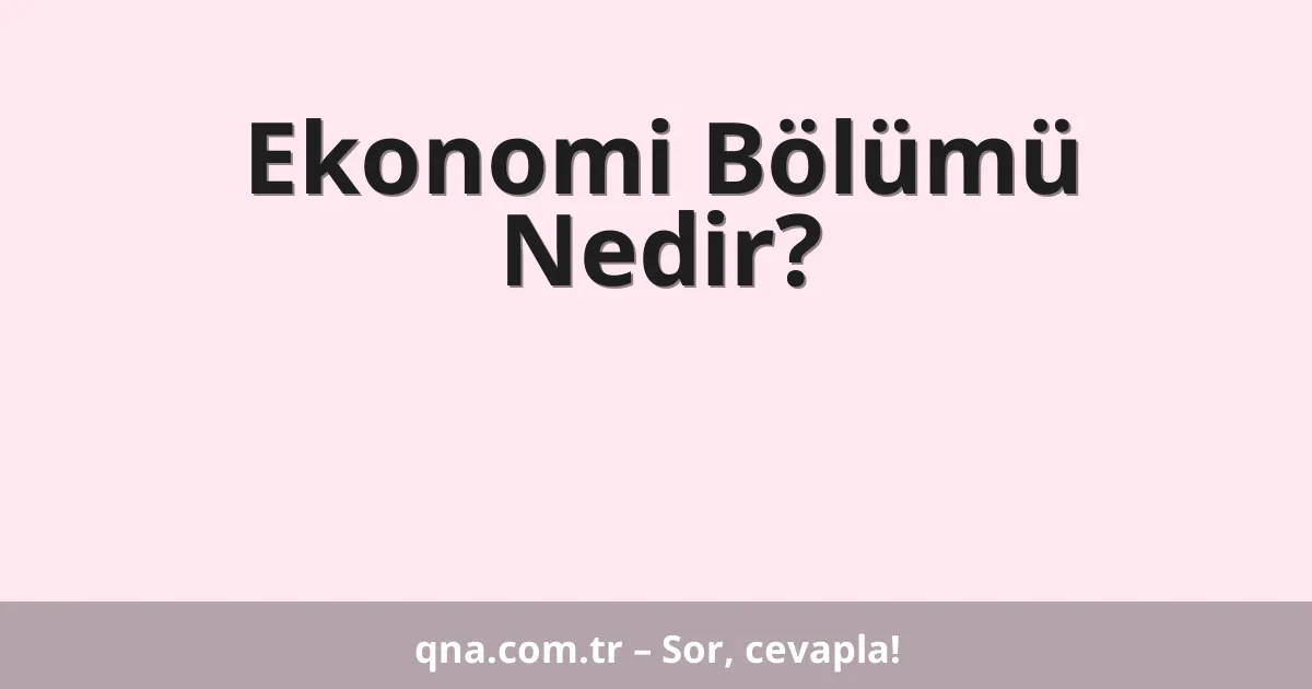 Ekonomi Bölümü Nedir?