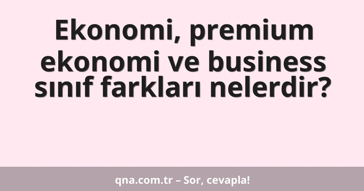 Ekonomi, premium ekonomi ve business sınıf farkları nelerdir?