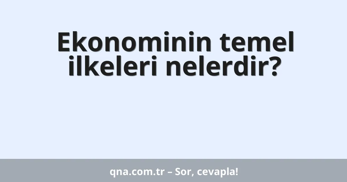 Ekonominin temel ilkeleri nelerdir?