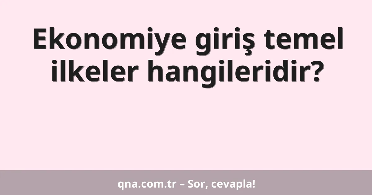 Ekonomiye giriş temel ilkeler hangileridir?