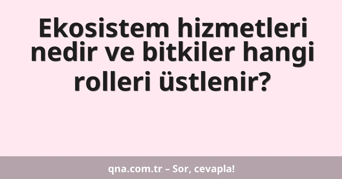 Ekosistem hizmetleri nedir ve bitkiler hangi rolleri üstlenir?