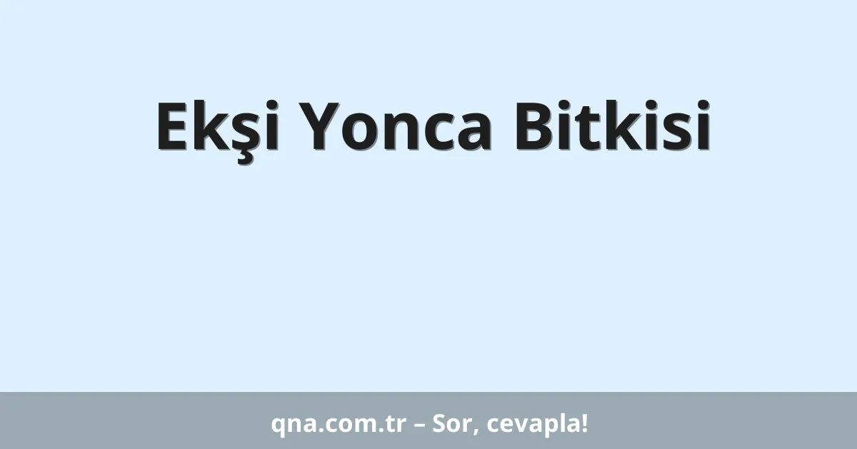 Ekşi Yonca Bitkisi