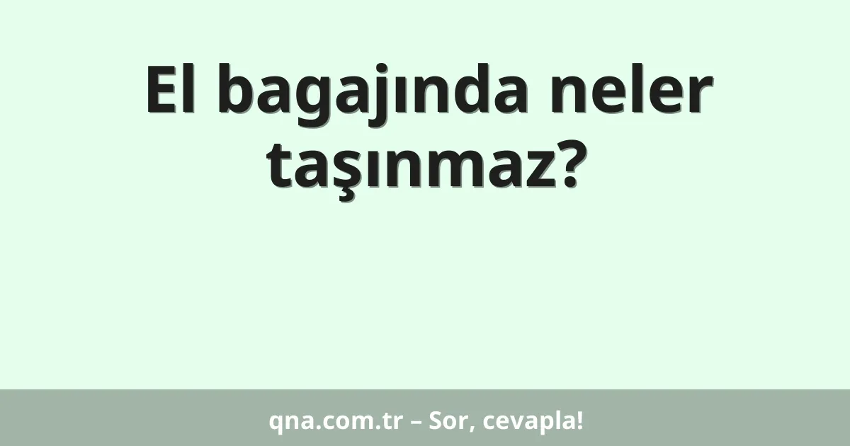 El bagajında neler taşınmaz?