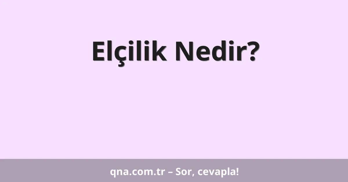Elçilik Nedir?