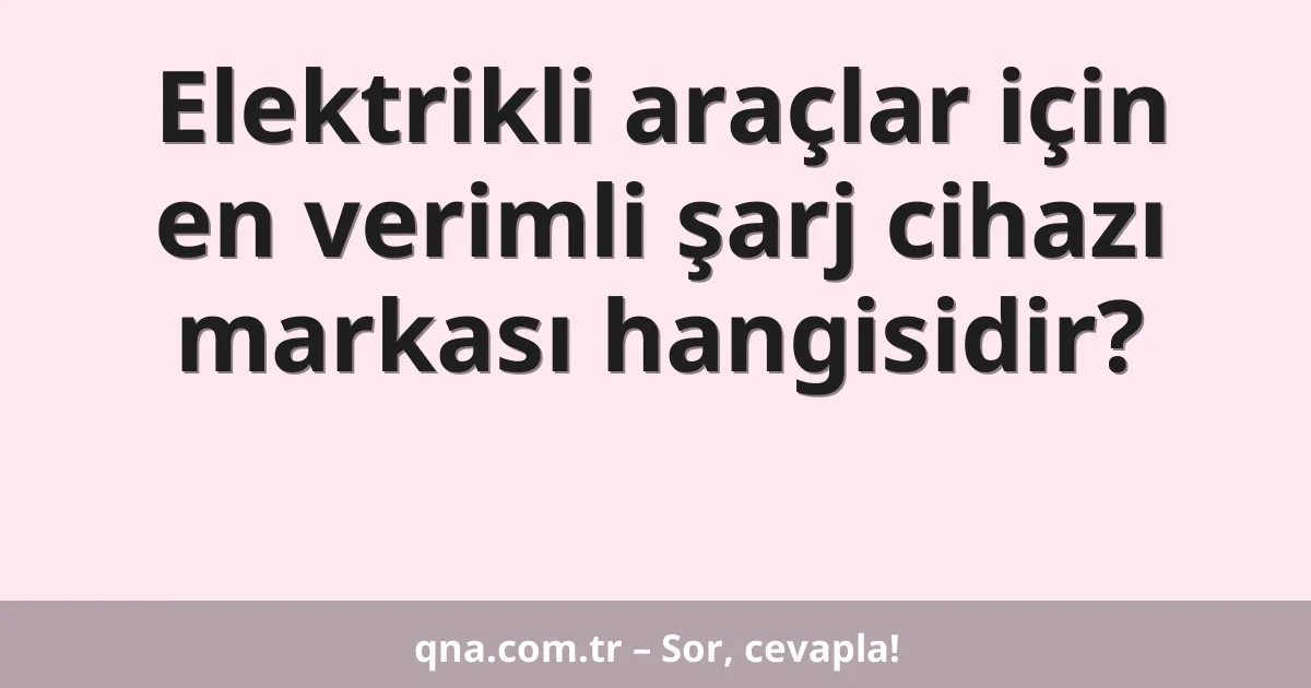 Elektrikli araçlar için en verimli şarj cihazı markası hangisidir?