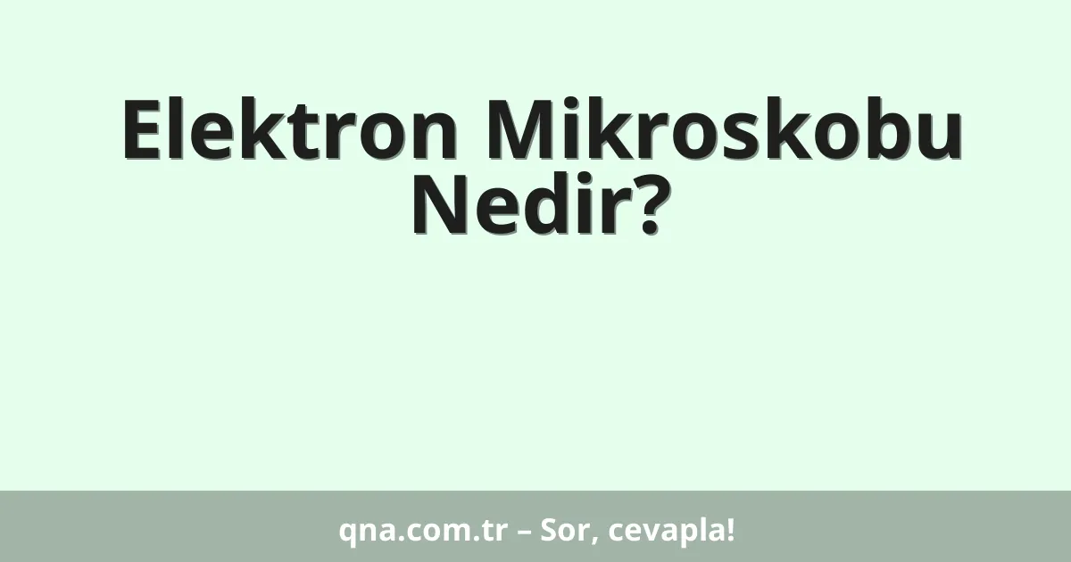 Elektron Mikroskobu Nedir?
