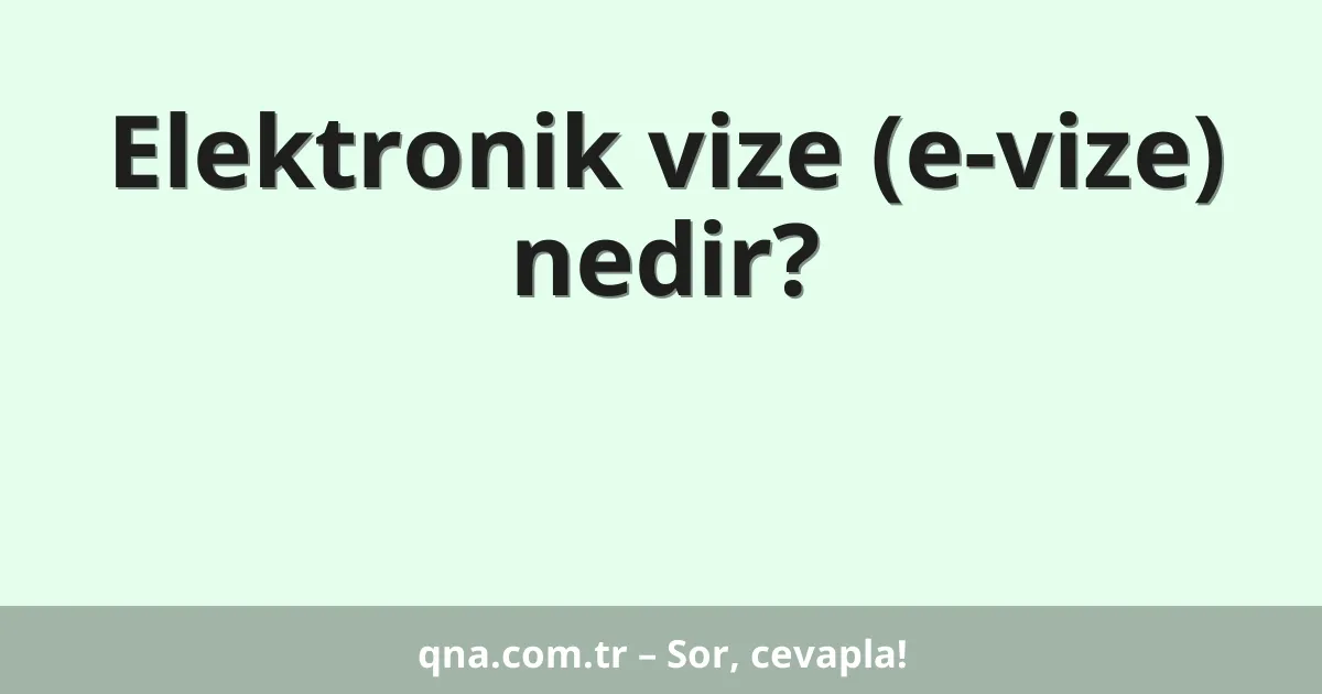 Elektronik vize (e-vize) nedir?