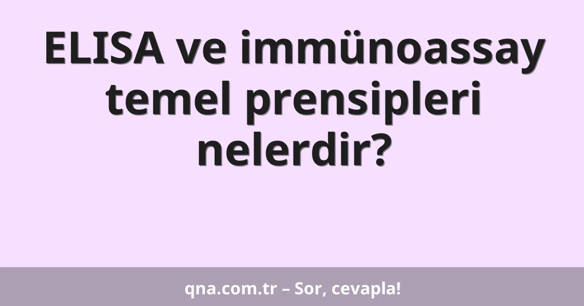 ELISA ve immünoassay temel prensipleri nelerdir?