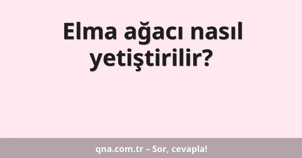 Elma ağacı nasıl yetiştirilir?