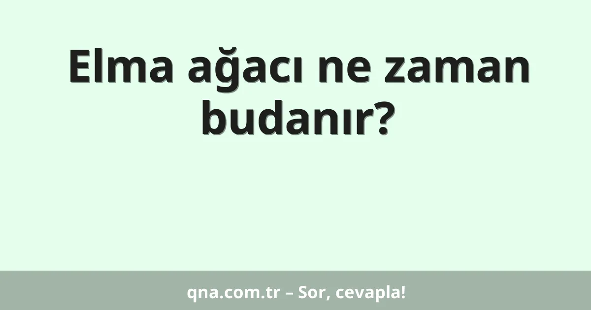 Elma ağacı ne zaman budanır?