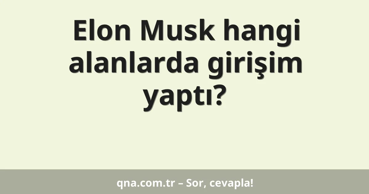 Elon Musk hangi alanlarda girişim yaptı?