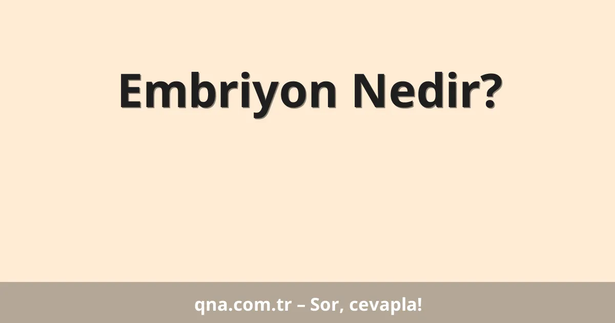 Embriyon Nedir?