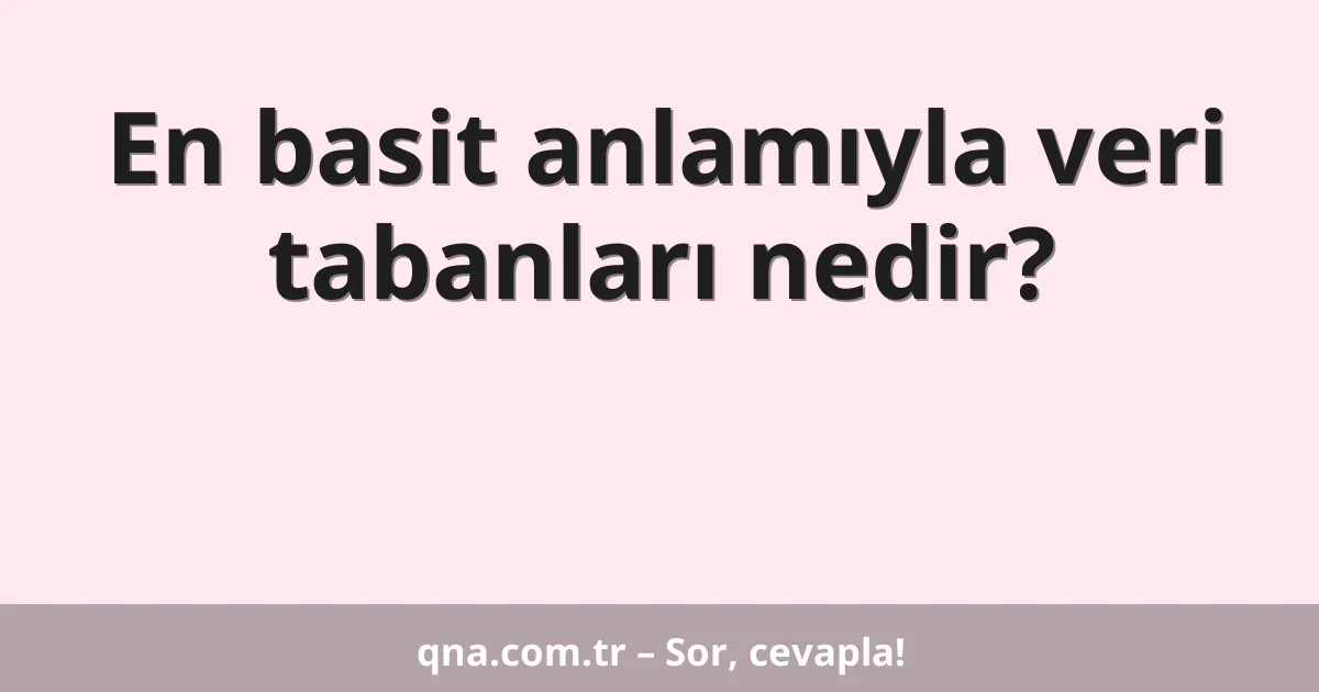 En basit anlamıyla veri tabanları nedir?