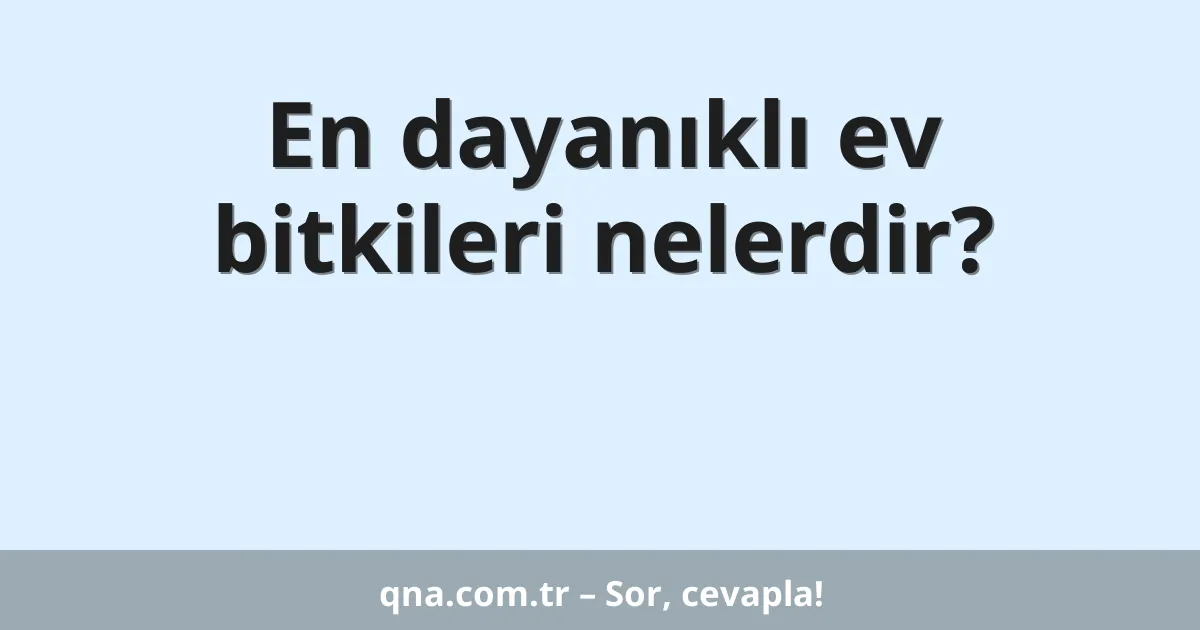 En dayanıklı ev bitkileri nelerdir?