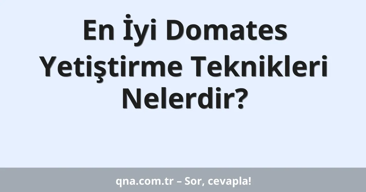 En İyi Domates Yetiştirme Teknikleri Nelerdir?