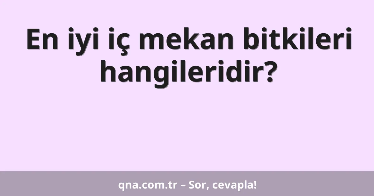 En iyi iç mekan bitkileri hangileridir?