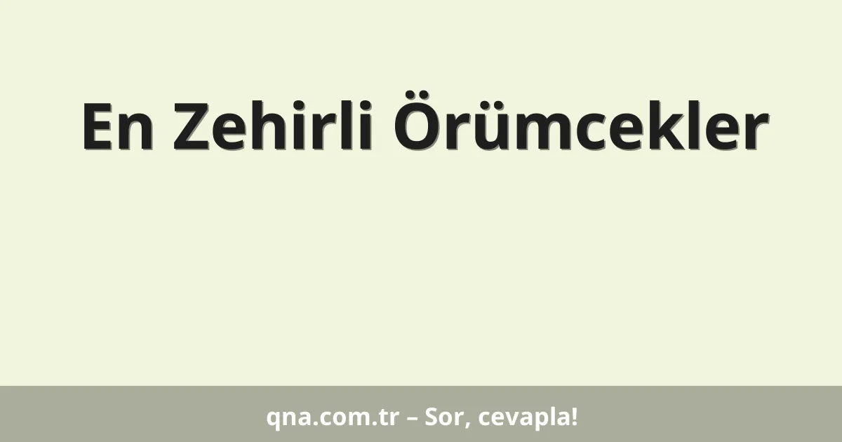 En Zehirli Örümcekler
