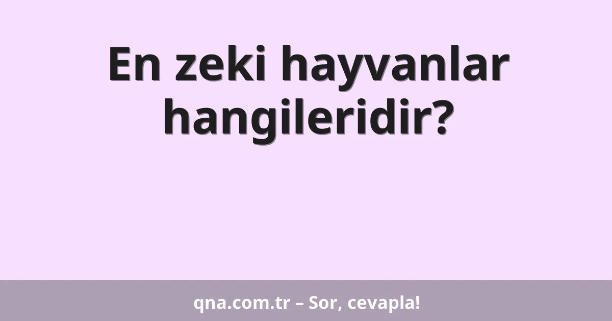 En zeki hayvanlar hangileridir?