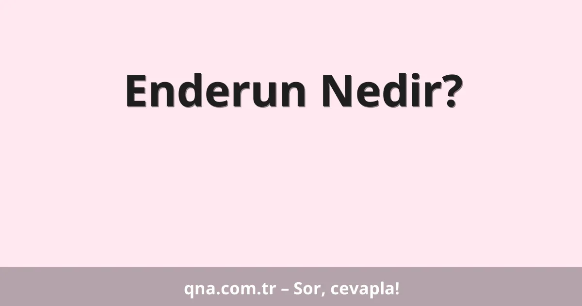 Enderun Nedir?