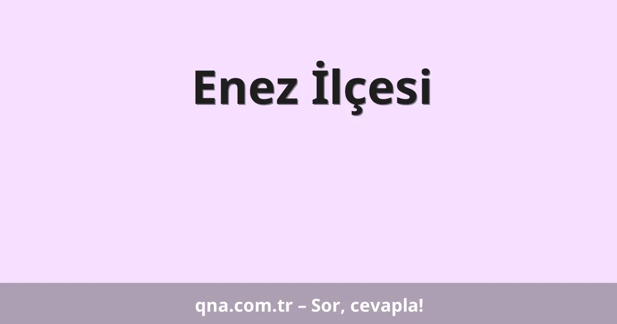 Enez İlçesi
