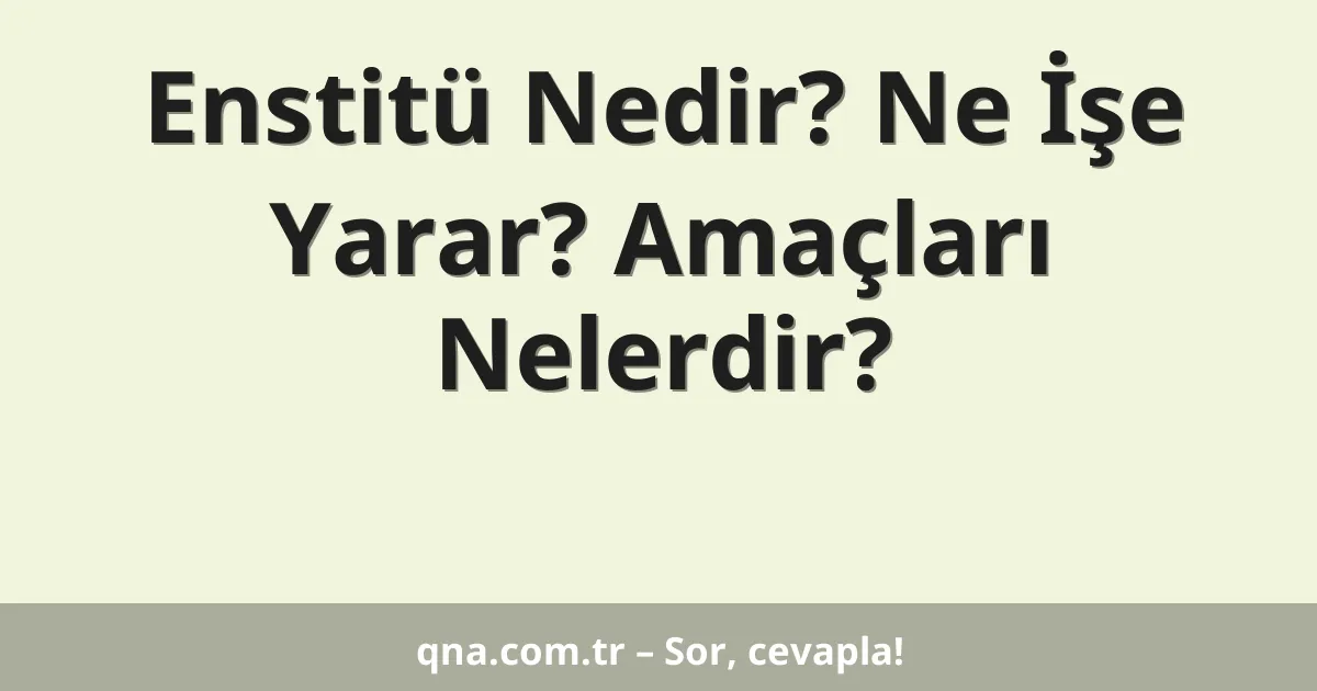 Enstitü Nedir? Ne İşe Yarar? Amaçları Nelerdir?