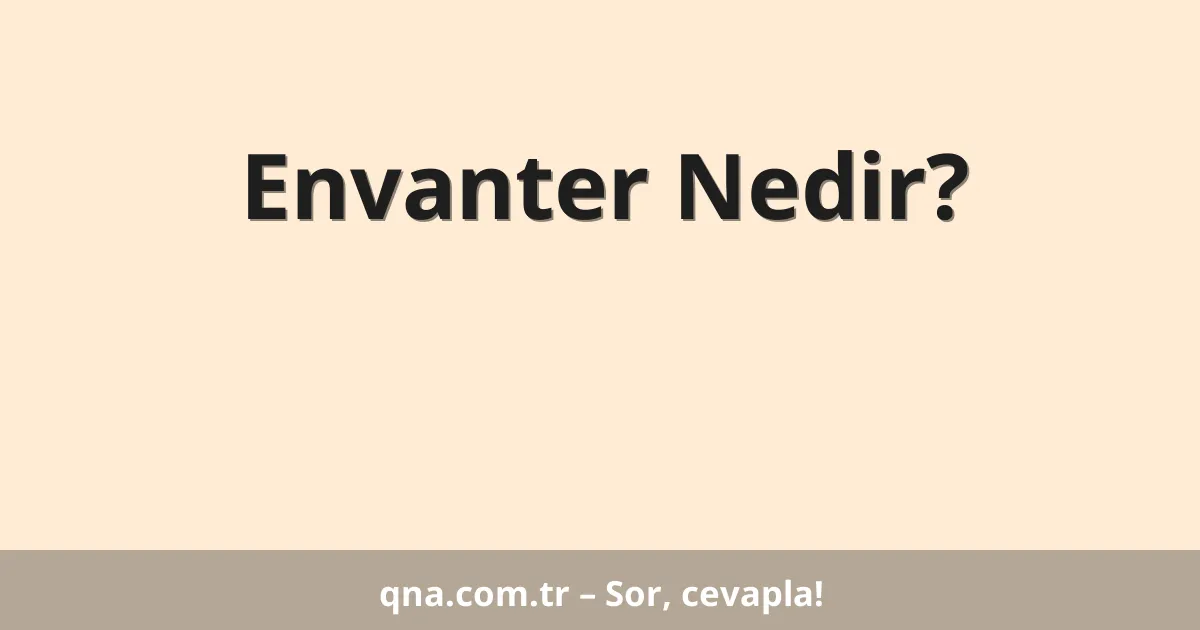 Envanter Nedir?