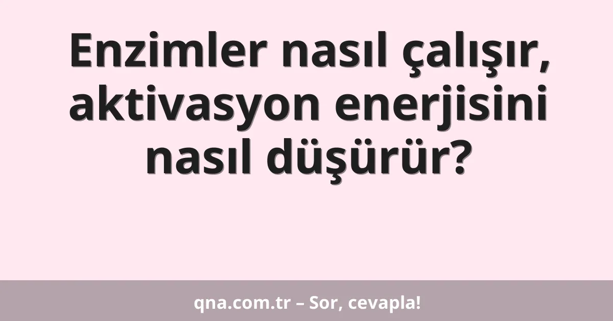 Enzimler nasıl çalışır, aktivasyon enerjisini nasıl düşürür?