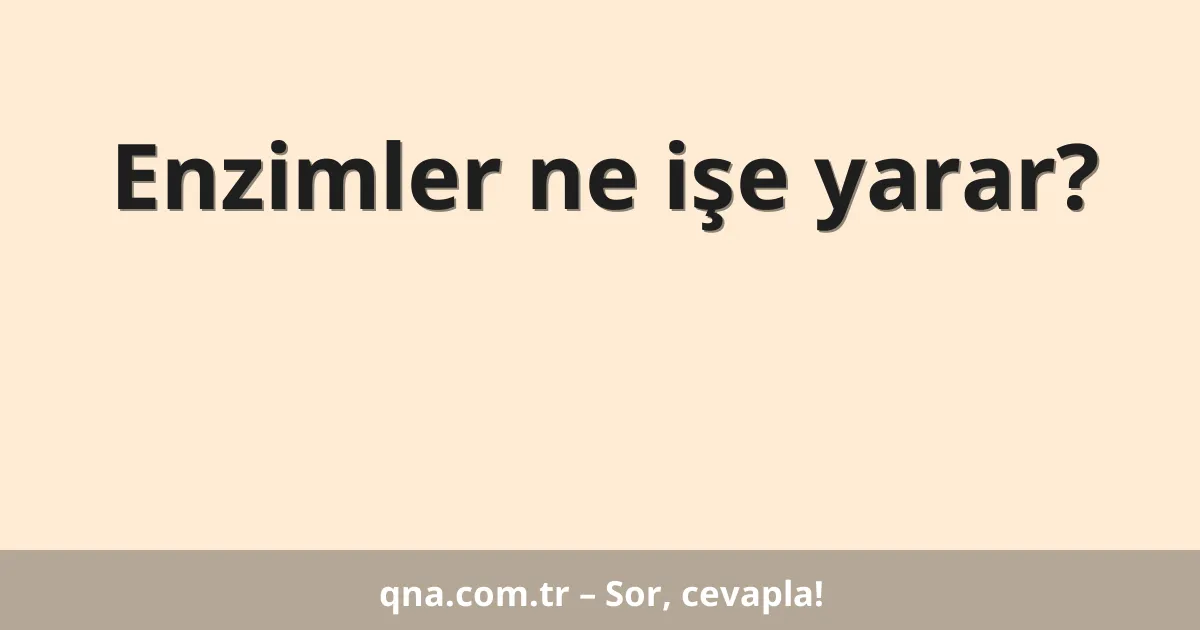 Enzimler ne işe yarar?