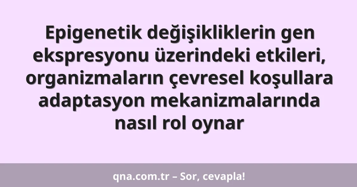 Epigenetik değişikliklerin gen ekspresyonu üzerindeki etkileri, organizmaların çevresel koşullara adaptasyon mekanizmalarında nasıl rol oynar