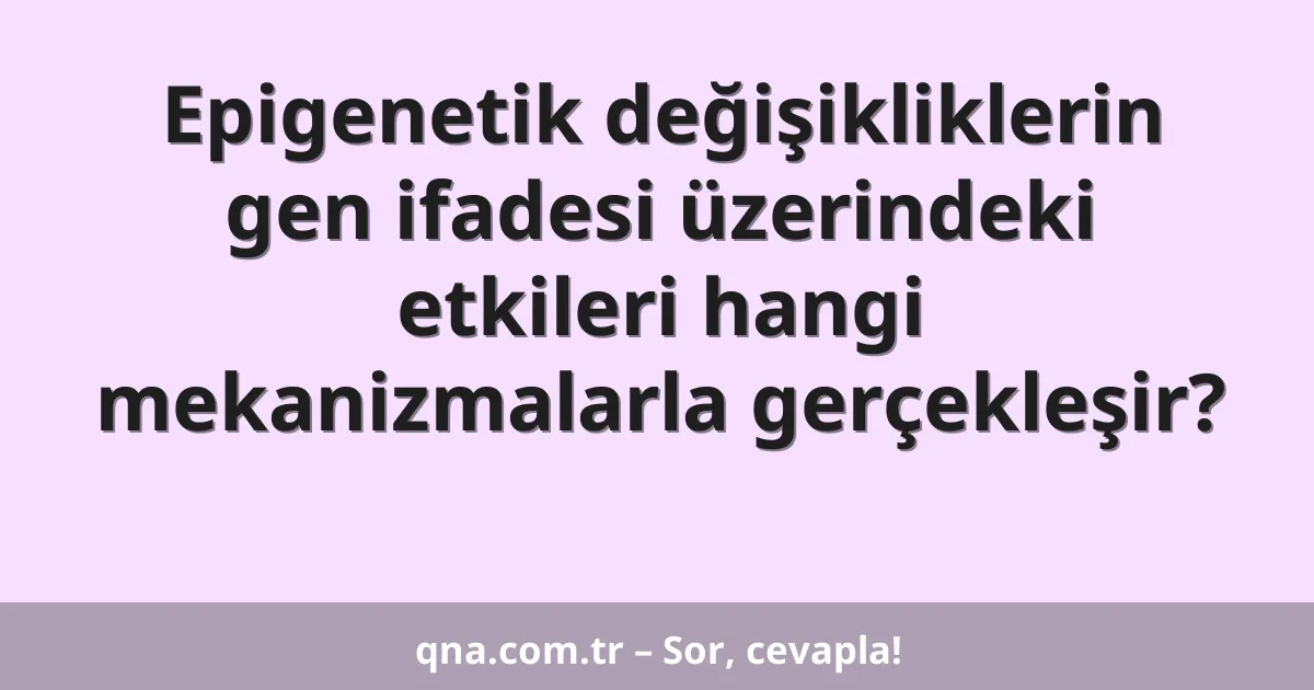 Epigenetik değişikliklerin gen ifadesi üzerindeki etkileri hangi mekanizmalarla gerçekleşir?