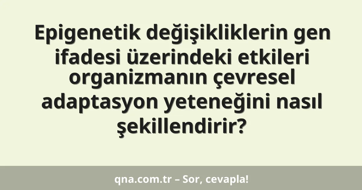 Epigenetik değişikliklerin gen ifadesi üzerindeki etkileri organizmanın çevresel adaptasyon yeteneğini nasıl şekillendirir?