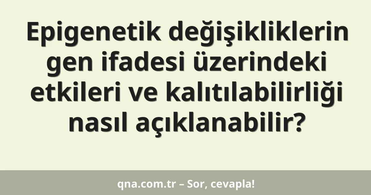 Epigenetik değişikliklerin gen ifadesi üzerindeki etkileri ve kalıtılabilirliği nasıl açıklanabilir?
