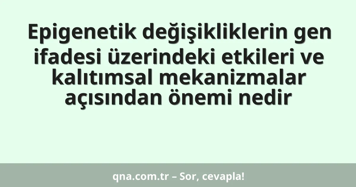 Epigenetik değişikliklerin gen ifadesi üzerindeki etkileri ve kalıtımsal mekanizmalar açısından önemi nedir