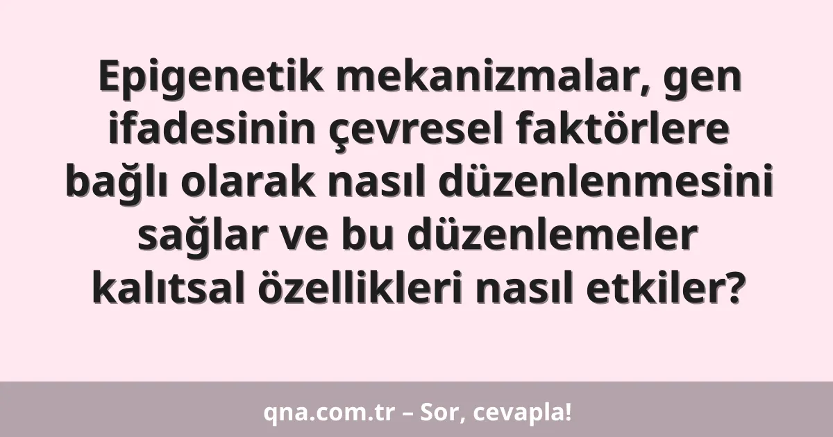 Epigenetik mekanizmalar, gen ifadesinin çevresel faktörlere bağlı olarak nasıl düzenlenmesini sağlar ve bu düzenlemeler kalıtsal özellikleri nasıl etkiler?